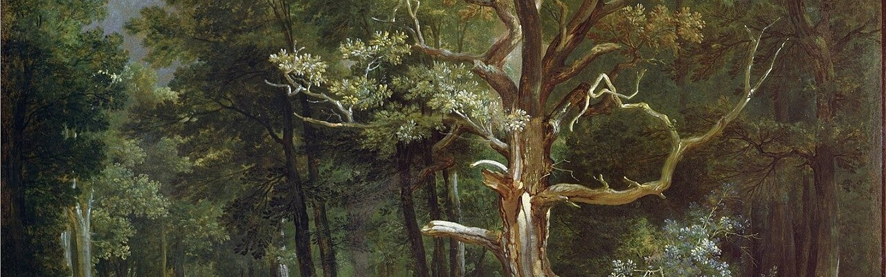 Chasse au loup en foret, Jean-Baptiste Oudry, 1748